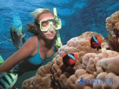 2 Day Reef, Daintree Rainforest & Culture tour –  Poseidon Cruises ex Port Douglas